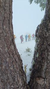 IMG_20241215_120902